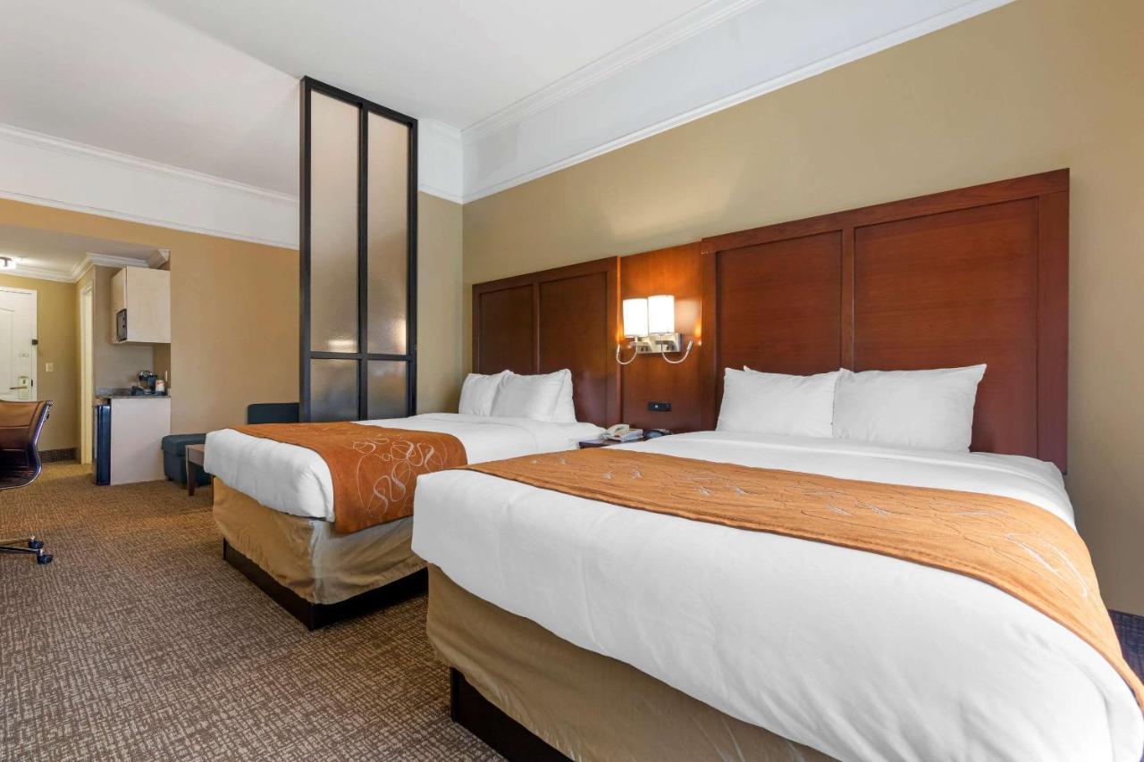Comfort Suites Savannah North Port Wentworth Exteriör bild